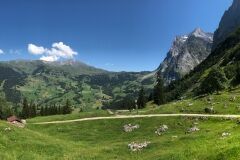 grindelwald-photos-49