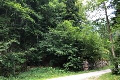 lauterbrunnen-switzerland-124