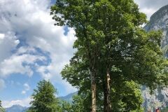 lauterbrunnen-switzerland-140