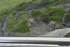 schilthorn-photos-20